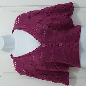 H&M Plum Knit Crop Sweater